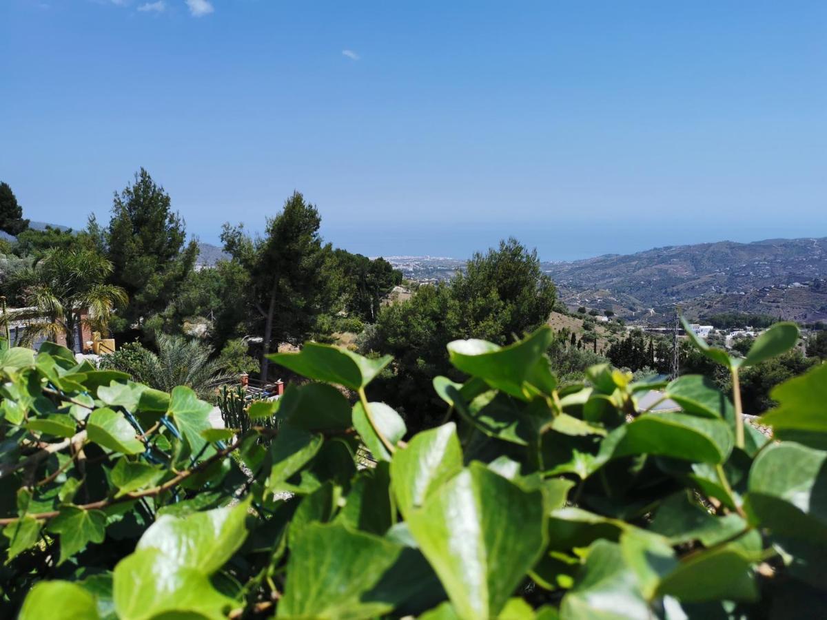 Casa Ayo Guest House Frigiliana Exterior photo